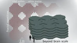 Combining light, superconductors could boost AI capabilities