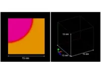 Combining simulations and experiments to get the best out of Fe3Al 2