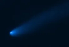 Comet makes a pit stop near Jupiters asteroids