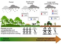 Commodity farming accelerating climate change in the Amazon rainforest