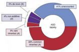 Common gene variants account for most genetic risk for autism