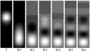 Competition of the multiple Gortler modes in hypersonic boundary layer flows