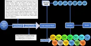 Comprehensive evaluation of large language models in mining gene relations and pathway knowledge