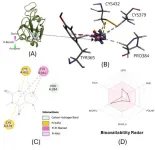 Computational drug discovery: Exploring natural products targeting SARS-CoV-2