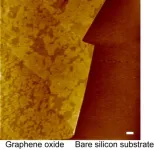 Concentration of cell membrane components with nanocarbon materials