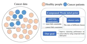 Constrained clustering with weak label prior