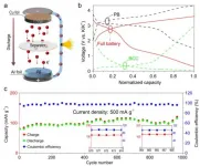 Construction of carbon-based cell-like-spheres for robust potassium anode