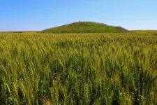 Contribution of cultural heritage values to steppe conservation on ancient burial mounds of Eurasia