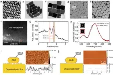 Control of light–matter interactions in two-dimensional materials with nanoparticle-on-mirror structures