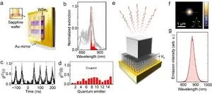 Control of light–matter interactions in two-dimensional materials with nanoparticle-on-mirror structures 2