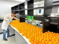 Cooling ‘blood oranges’ could make them even healthier – a bonus for consumers 2