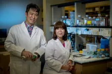 Copper transporter potential new treatment target for cardiovascular disease