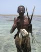 Coral reefs and food security: Study shows nations at risk