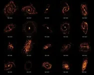 Cosmic cartographers map nearby Universe revealing the diversity of star-forming galaxies