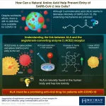 Could a naturally occurring amino acid lead us to a cure for COVID-19?