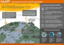 Counting the cost of sunshine: Finding a better metric to measure human ecological footprints