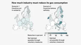 Countries would be well advised to assist each other with regard to gas