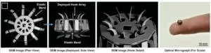 COVID infection and age-related blindness 3