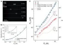 Cracking the structure of a crucial neural transport protein 2