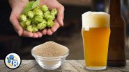 Craft beer chemistry (video)