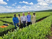 Cranfield and LIPTON Teas and Infusions begin advanced climate change mitigation and resilience field trials