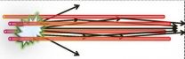 Creating optical cables out of thin air