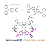 Creation of a new molecule through innovative combination of two reactions