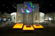 Creativity and community: How modern humans overcame the Neanderthals