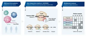 CRISPR discovery from Wuerzburg paves the way for novel COVID testing method