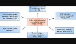 Crosstalk between triple negative breast cancer and microenvironment