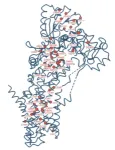 Cryo-electron microscopy captures structure of a protein pump 2