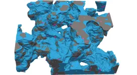 Cryo-imaging lifts the lid on fuel cell catalyst layers