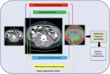 CT radiomics and body composition for predicting hepatic decompensation