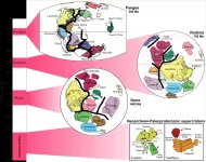 Curtin research finds first clues to start of Earths supercontinent cycle
