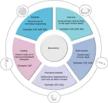 Custom-fit bone grafts: the future of craniomaxillofacial surgery