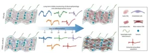 Cyborg technology analyzes the functional maturation of stem-cell derived heart tissue 3