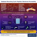 CycPeptMPDB: A database aimed at promoting drug design using cyclic peptides