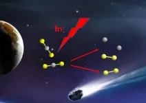 Dalian coherent light source reveals the origin of interstellar medium S2 fragments