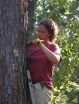 Dartmouth research offers new control strategies for bipolar bark beetles