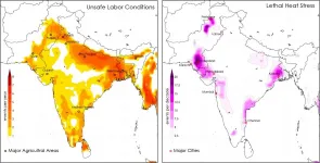 Deadly heat waves will be common in South Asia, even at 1.5 degrees of warming