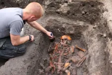 Deadly waves: Researchers document evolution of plague over hundreds of years in medieval Denmark 2