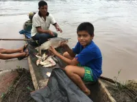 Declining biodiversity in wild Amazon fisheries threatens human diet