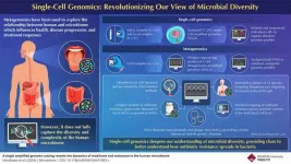 Decoding bacterial genomes using single-cell genomics