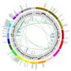 Decoding DNA finds breast tumor signatures that predict treatment response