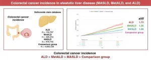 Decoding the link between colorectal cancer risk and steatotic liver disease