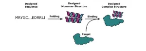 Deep learning for new protein design