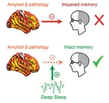 Deep sleep may mitigate Alzheimer’s memory loss, Berkeley research shows