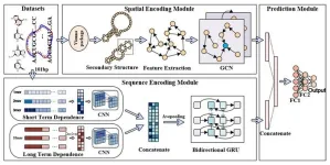 DeepCRBP: Improved predicting function of circRNA-RBP binding sites with deep feature learning