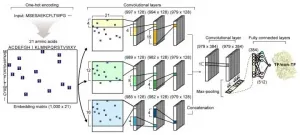 DeepTFactor predicts transcription factors