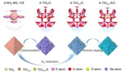 Defect engineering assisting in high-level anion doping towards fast charge transfer kinetic